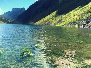 Klares Wasser am Fälensee im Appenzellerland