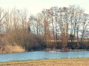 Lac Ecoffy im Kanton Waadt