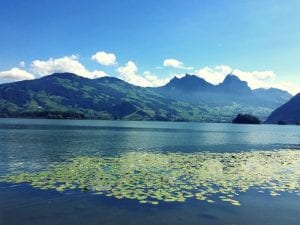 Lauerzersee und Schwyzer Bergwelt