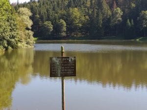 Teufenbachweiher baden verboten