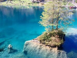 Tiefblaues Wasser am Blausee im Berner Oberland