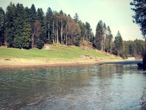Ufer des Chapfensee (c) K. Tschirky