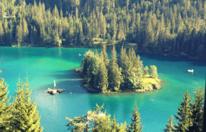 Eine der Inseln auf den Schweizer Seen