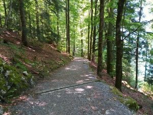 Wanderweg Giessbachfälle Giessbach See